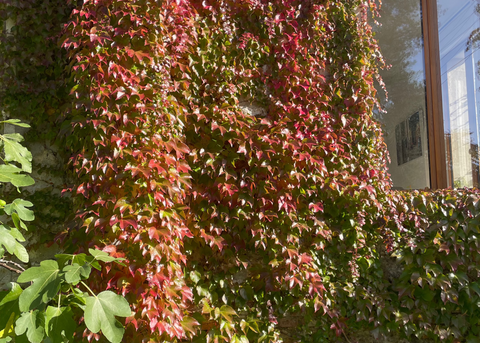 Property Feasibility / Property Curation